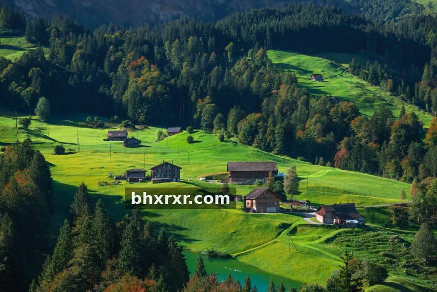 OB旗舰 策略与模拟经营品类前瞻:资源分配思路与中期节奏把控